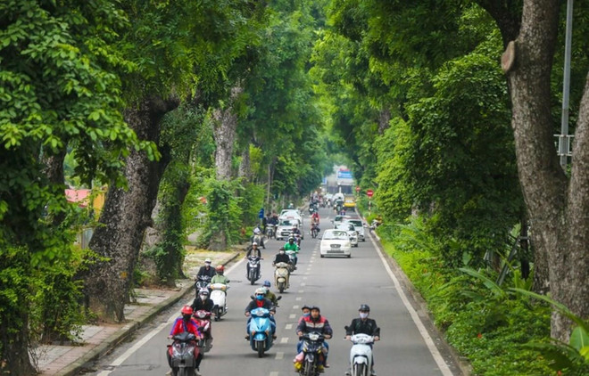 Fête de plantation d'arbres du Printemps 2021 : action de protection environnemental ảnh 1 Fête de plantation d'arbres du Printemps 2021 : action de protection environnemental ảnh 1