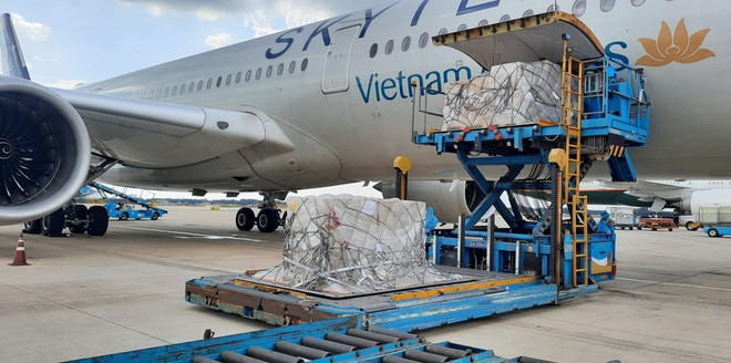 COVID-19 : plus de 203.000 kits de test rapide d'Allemagne arrivent au Vietnam ảnh 1 COVID-19 : plus de 203.000 kits de test rapide d'Allemagne arrivent au Vietnam ảnh 1