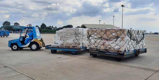 COVID-19 : plus de 203.000 kits de test rapide d'Allemagne arrivent au Vietnam ảnh 2 COVID-19 : plus de 203.000 kits de test rapide d'Allemagne arrivent au Vietnam ảnh 2