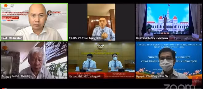 COVID-19: Des experts vietnamiens à l'étranger donnent des conseils à Ho Chi Minh-Ville ảnh 2