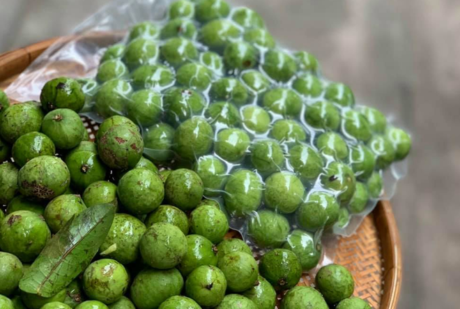 Vingt-deux tonnes de fruits de pancovier congelés sont exportés en Australie ảnh 1 Vingt-deux tonnes de fruits de pancovier congelés sont exportés en Australie ảnh 1