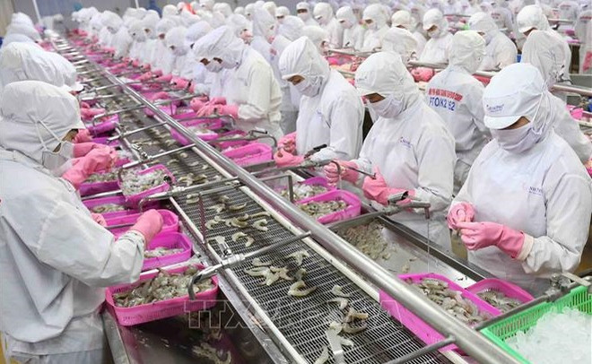 Le Vietnam et la Chine stimulent le commerce des produits aquatiques ảnh 1 Le Vietnam et la Chine stimulent le commerce des produits aquatiques ảnh 1