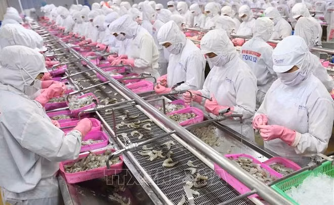 Le Vietnam et la Chine stimulent le commerce des produits aquatiques ảnh 1