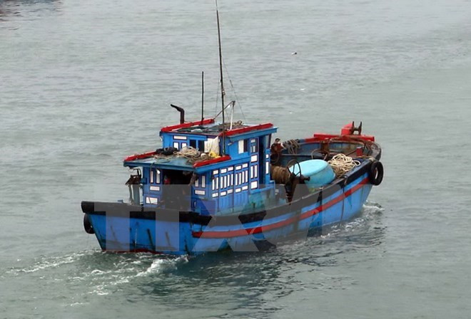 Protéger les droits légitimes des ressortissants vietnamiens à l’étranger ảnh 1 Protéger les droits légitimes des ressortissants vietnamiens à l’étranger ảnh 1