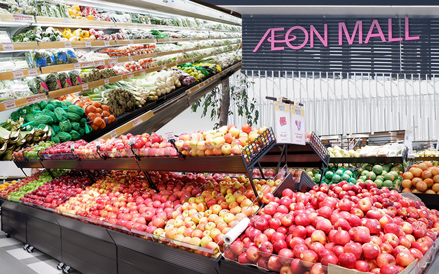 Favoriser l’accès des produits agricoles aux chaînes de distributions étrangères ảnh 1 Favoriser l’accès des produits agricoles aux chaînes de distributions étrangères ảnh 1