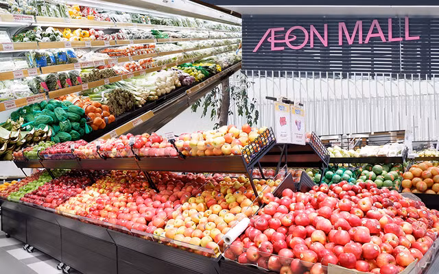 Favoriser l’accès des produits agricoles aux chaînes de distributions étrangères ảnh 1