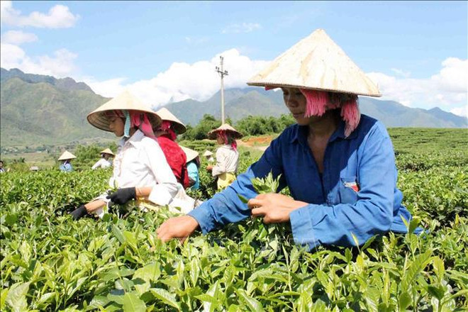Le Vietnam fait preuve d'une politique cohérente de promotion et de protection des droits de l’homme ảnh 1 Le Vietnam fait preuve d'une politique cohérente de promotion et de protection des droits de l’homme ảnh 1