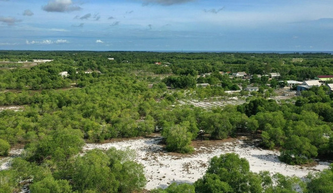 COP26 : le Vietnam rattrape la tendance mondiale de développement vert ảnh 1 COP26 : le Vietnam rattrape la tendance mondiale de développement vert ảnh 1