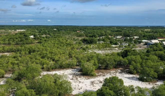 COP26 : le Vietnam rattrape la tendance mondiale de développement vert ảnh 1
