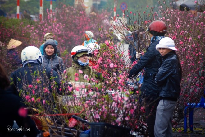 CNN : Le marché aux fleurs de Quang Ba, une destination à ne pas manquer à l’occasion du Têt ảnh 1 CNN : Le marché aux fleurs de Quang Ba, une destination à ne pas manquer à l’occasion du Têt ảnh 1