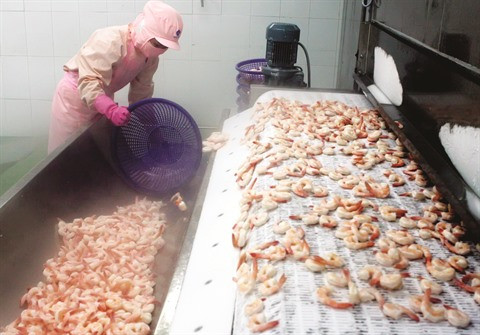 Exportations de crevettes, fruits et légumes : Bilan et perspectives ảnh 2 Exportations de crevettes, fruits et légumes : Bilan et perspectives ảnh 2