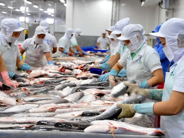 La décision du DOC sur le panga vietnamien transgresse la législation anti-dumping ảnh 1 La décision du DOC sur le panga vietnamien transgresse la législation anti-dumping ảnh 1