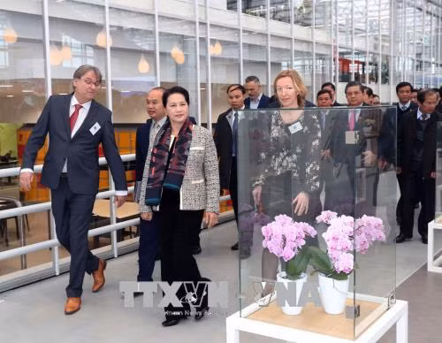 La présidente de l’AN Nguyên Thi Kim Ngân visite un centre d’agriculture high-tech aux Pays-Bas ảnh 1