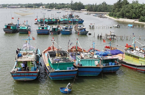 L’Association de la pêche du Vietnam proteste contre les règles chinoises ảnh 1 L’Association de la pêche du Vietnam proteste contre les règles chinoises ảnh 1