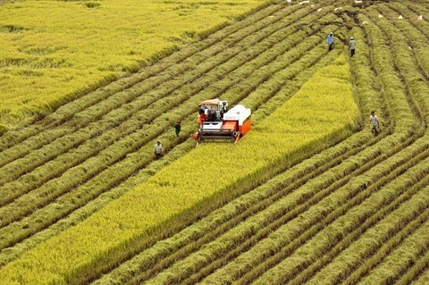 Publication de la liste des 23 finalistes du concours sur les technologies agricoles ảnh 1 Publication de la liste des 23 finalistes du concours sur les technologies agricoles ảnh 1