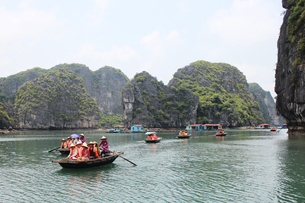 Quang Ninh cherche à accélérer le développement de l’aquaculture marine ảnh 2 Quang Ninh cherche à accélérer le développement de l’aquaculture marine ảnh 2
