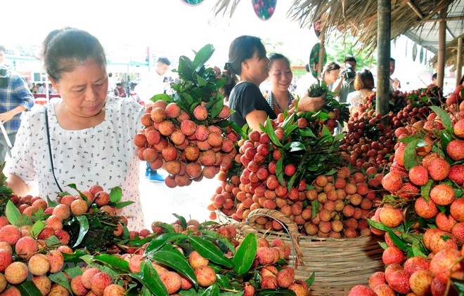 Bac Giang s’emploie à mettre à niveau ses produits OCOP ảnh 1 Bac Giang s’emploie à mettre à niveau ses produits OCOP ảnh 1