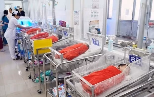 Le Vietnam entre dans la structure de la population âgée en 2026 ảnh 1 Le Vietnam entre dans la structure de la population âgée en 2026 ảnh 1