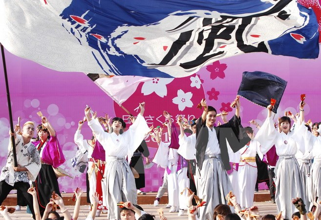 La coutume du Hanami célébrée à Dà Nang ảnh 1 La coutume du Hanami célébrée à Dà Nang ảnh 1