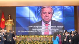  Le Secrétaire général de l'ONU António Guterres félicite le Vietnam à l'occasion de la Fête nationale ảnh 1