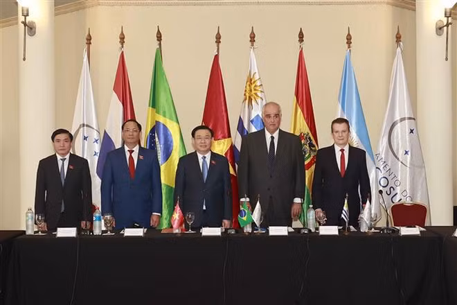 Le président de l’AN s’entretient avec les dirigeants du Parlement du MERCOSUR ảnh 1