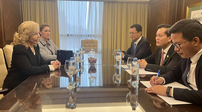 Le Vietnam veut favoriser les relations de coopération avec le Paraguay ảnh 1 Le Vietnam veut favoriser les relations de coopération avec le Paraguay ảnh 1