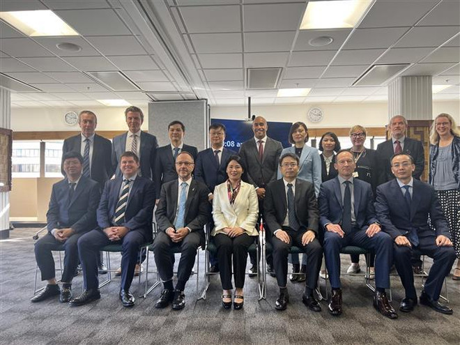 Le Vietnam et la Nouvelle-Zélande partagent leur expérience en matière d’audit ảnh 2 Le Vietnam et la Nouvelle-Zélande partagent leur expérience en matière d’audit ảnh 2