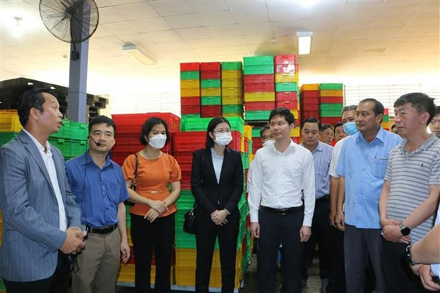 Des autorités locales cherchent à stimuler le commerce agricole Vietnam - Chine ảnh 2 Des autorités locales cherchent à stimuler le commerce agricole Vietnam - Chine ảnh 2