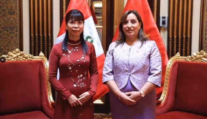 La présidente péruvienne apprécie la relation de coopération entre le Vietnam et le Pérou ảnh 1
