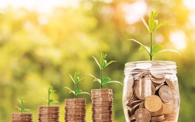 Le crédit vert pour les objectifs de développement durable ảnh 1