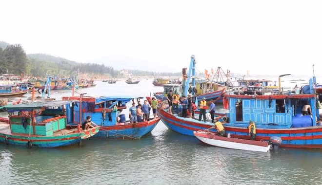 La province de Ha Tinh combat résolument la pêche INN ảnh 1