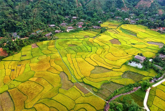 Lao Cai: un festival pour préserver les traditions de l'ethnie Tay ảnh 1 Lao Cai: un festival pour préserver les traditions de l'ethnie Tay ảnh 1