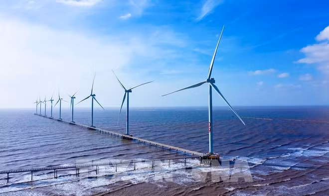 Planification spatiale marine pour promouvoir l'économie bleue ảnh 1