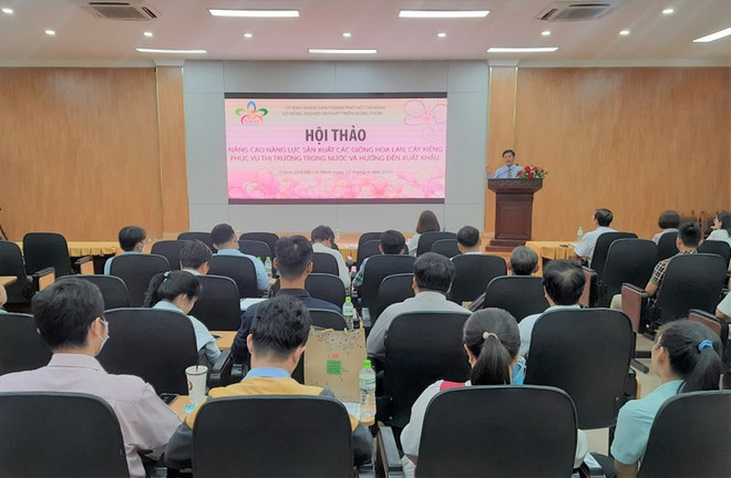 Ho Chi Minh-Ville améliore sa capacité de production de plantes ornementales ảnh 1 Ho Chi Minh-Ville améliore sa capacité de production de plantes ornementales ảnh 1
