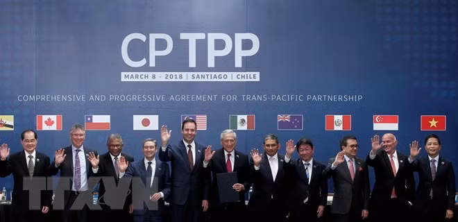 Pour mieux profiter de l’Accord du Partenariat transpacifique global et progressiste (CPTPP) ảnh 1