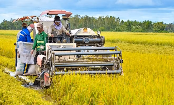 La 4e Conférence mondiale du Programme SFS discutera des systèmes alimentaire durables ảnh 2
