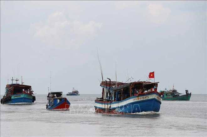Ninh Thuân prend des mesures drastiques pour lutter contre la pêche INN ảnh 1 Ninh Thuân prend des mesures drastiques pour lutter contre la pêche INN ảnh 1