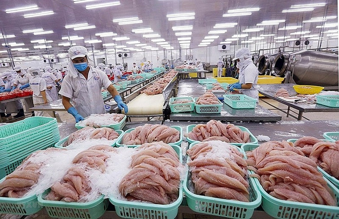 Les produits aquatiques vietnamiens s’exportent bien en Australie ảnh 1 Les produits aquatiques vietnamiens s’exportent bien en Australie ảnh 1