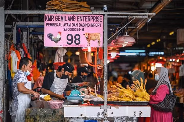 De plus en plus de Malaisiens s'inquiètent pour la stabilité de l'emploi ảnh 1