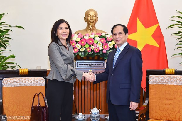 Le ministre des Affaires étrangères reçoit la coordonnatrice résidente des Nations Unies ảnh 1 Le ministre des Affaires étrangères reçoit la coordonnatrice résidente des Nations Unies ảnh 1