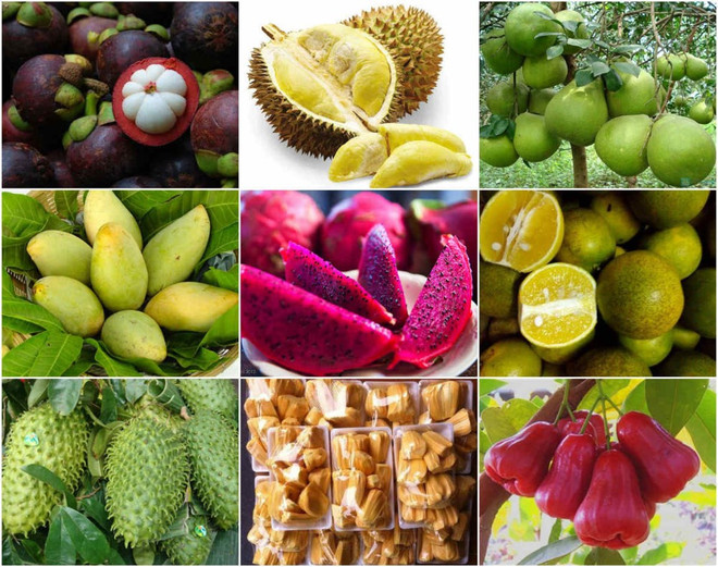 Le Moyen-Orient, un marché potentiel pour les produits agricoles vietnamiens ảnh 1 Le Moyen-Orient, un marché potentiel pour les produits agricoles vietnamiens ảnh 1