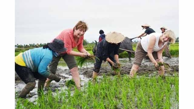 Développement du tourisme communautaire au Vietnam ảnh 1 Développement du tourisme communautaire au Vietnam ảnh 1