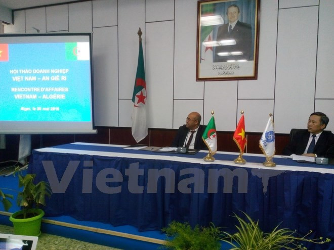 Des hommes d'affaires vietnamiens évaluent leurs opportunités en Algérie ảnh 1 Des hommes d'affaires vietnamiens évaluent leurs opportunités en Algérie ảnh 1