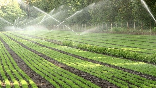 Ninh Thuân bénéficie d’une technologie d'irrigation moderne ảnh 1 Ninh Thuân bénéficie d’une technologie d'irrigation moderne ảnh 1