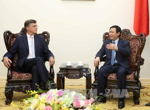 Le vice-Premier ministre Vuong Dinh Hue reçoit des hôtes australiens ảnh 1 Le vice-Premier ministre Vuong Dinh Hue reçoit des hôtes australiens ảnh 1