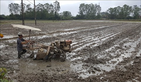 Thua Thiên-Huê lutte contre la sécheresse ảnh 1 Thua Thiên-Huê lutte contre la sécheresse ảnh 1
