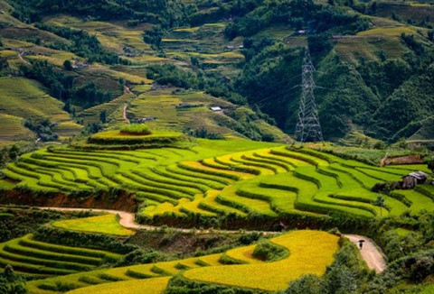 Y Ty échappe à la pauvreté grâce au développement du tourisme ảnh 2 Y Ty échappe à la pauvreté grâce au développement du tourisme ảnh 2