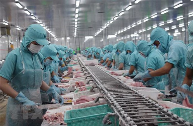 La valeur des exportations de poisson Tra atteint 1,2 milliard de dollars en 10 mois ảnh 1 La valeur des exportations de poisson Tra atteint 1,2 milliard de dollars en 10 mois ảnh 1