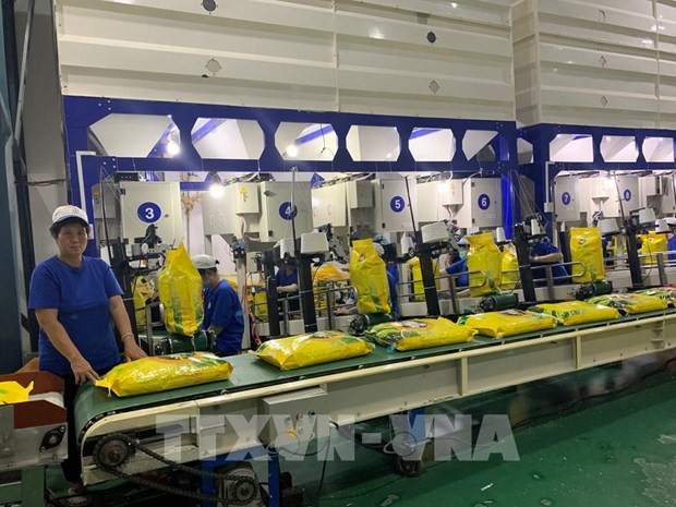 L’UEEA accorde au Vietnam un contingent de 10.000 tonnes de riz en 2021 ảnh 1 L’UEEA accorde au Vietnam un contingent de 10.000 tonnes de riz en 2021 ảnh 1