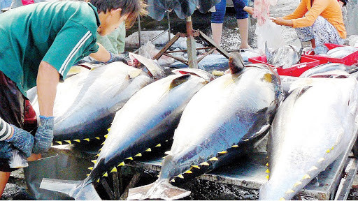 Produits aquatiques: L’UKVFTA stimulera les exportations vietnamiennes vers le marché britannique ảnh 1